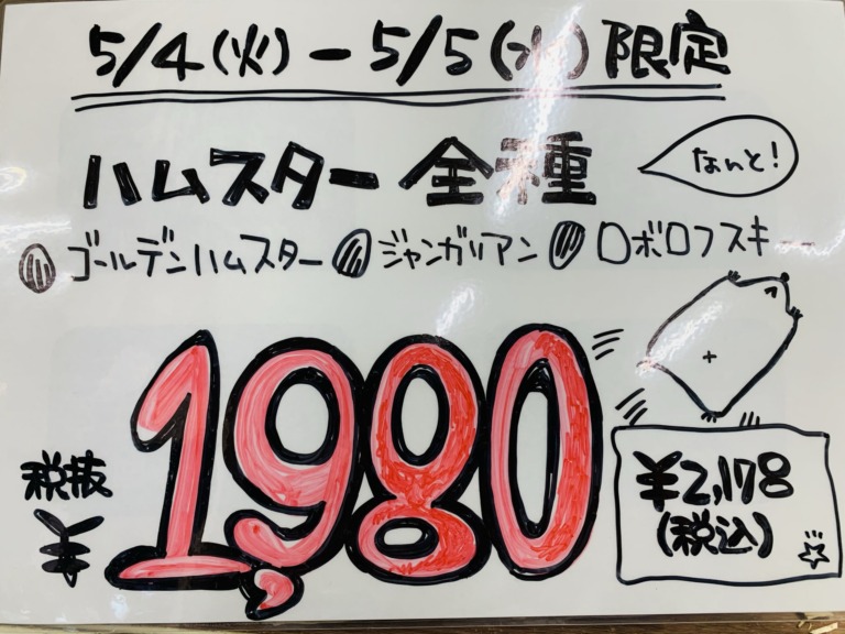 【東広島店】GWハムスターセーール(≧∇≦)