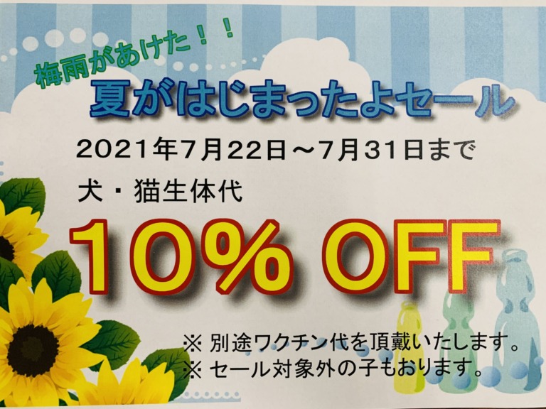 梅雨があけたのでセールしようと思います！！