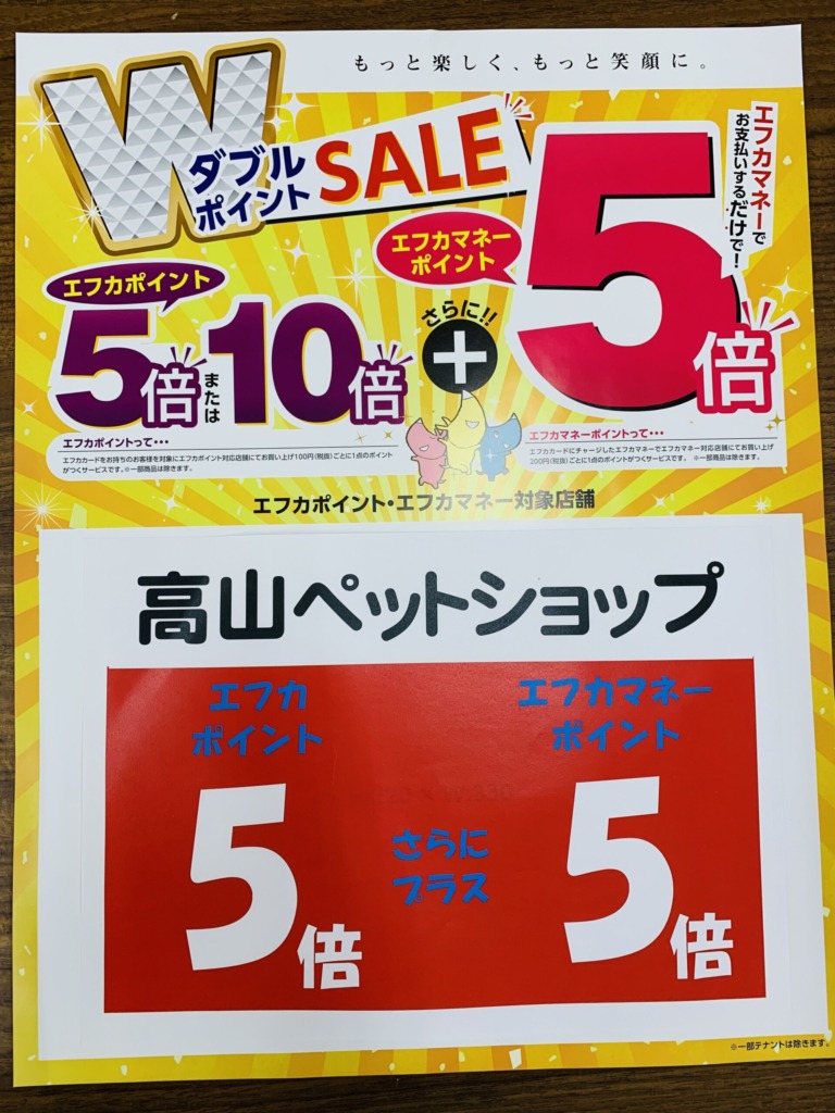 東広島店★３日間限定エフカ&エフカマネーW５倍ポイント‼︎