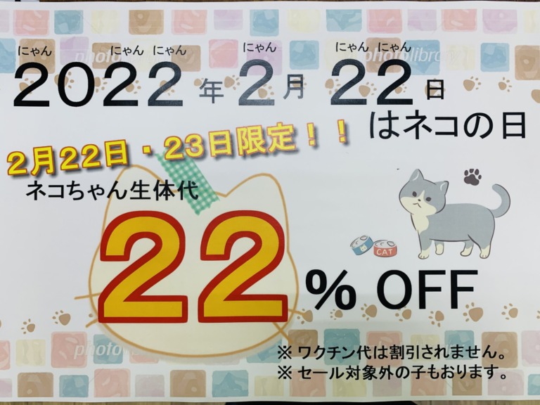 2月22日はにゃんこの日〜〜(ΦωΦ)