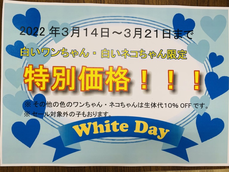 WhiteDayのご案内☆