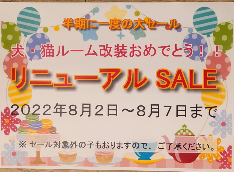 犬猫コーナーリニューアルセールのお知らせ