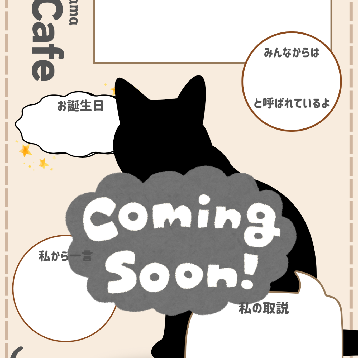 東広島店】猫カフェ新入社員紹介 - Takayama 高山ペットショップ
