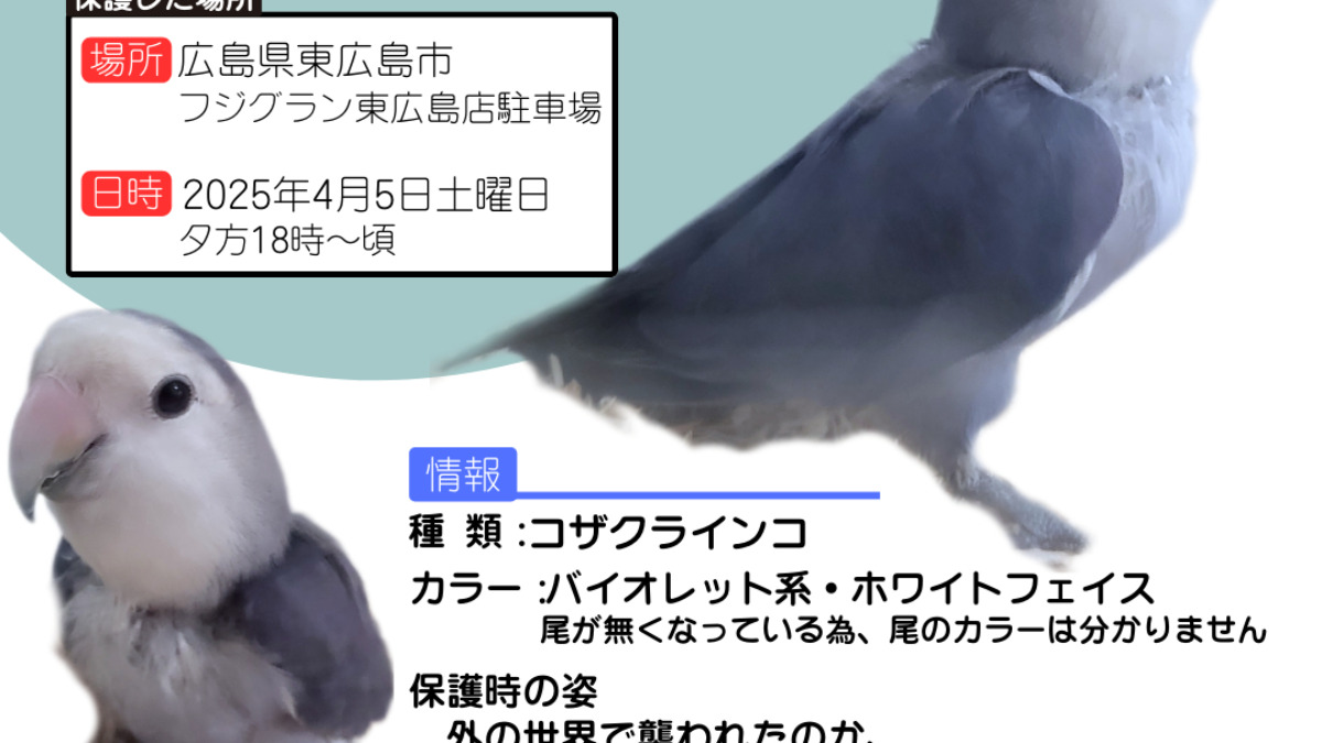 名称未設定のデザイン