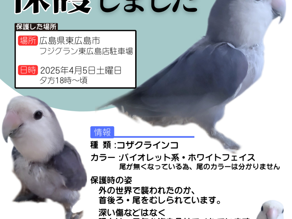 名称未設定のデザイン